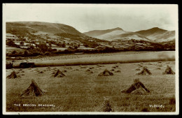 Ref 1658 - Real Photo Postcard - Brecon Beacons Wales - Breconshire