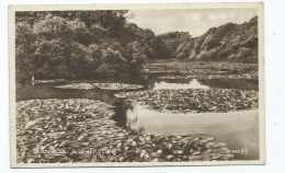 Postcard Wales Pembrokeshire Bosherston Lily Ponds Unused - Pembrokeshire