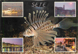 Animaux - Poissons - Sète - Multivues - CPM - Voir Scans Recto-Verso - Fische Und Schaltiere