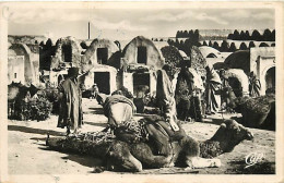 Tunisie - Médenine - Place Du Cafard - Animée - Chameliers - Chameaux - CPSM Format CPA - Oblitération Ronde De 1953 - V - Tunesien