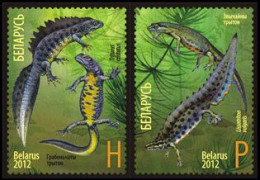 Belarus Belorussia 2012 Fauna Newts Tritons Joint Issue With Russia Set Of 2 Stamps MNH - Belarus