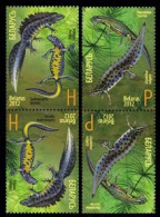 Belarus Belorussia 2012 Fauna Newts Tritons Joint Issue With Russia Set Of 2 Tete-beshes (vertical) MNH - Belarus