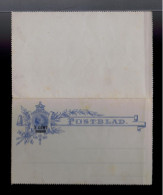 Sp10692 NEDERLAND Overprint 3cent On 2cent / Mint Aèrogramme Royals Children Famouse People - Case Reali