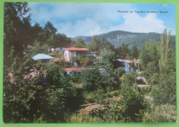 Troodos / Τροόδος - Plastres On Troodos Summer Resort - Chypre