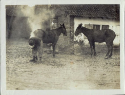 World War 1, With The New Zealanders On The Western Front. Official Photograph Issued By The Press Bureau. - Krieg, Militär