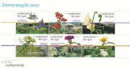 Nederland NVPH 1973 Vel Zomerzegels 2001 MNH** - Neufs