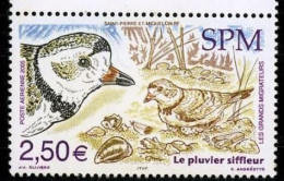 Saint Pierre Et Miquelon YV PA 85 MNH 2005 Pluvier Siffleur - Sonstige & Ohne Zuordnung