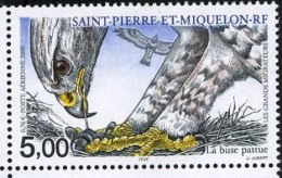 Saint Pierre Et Miquelon YV PA 80 MNH 2000 Buse Pattue - Adler & Greifvögel