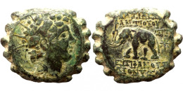 Seleukid Kingdom. Antiochos VI Dionysos. 144-142 B.C. Æ Serratus, Antioch On The Orontes, 143-142. - Griechische Münzen