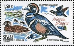 Saint Pierre Et Miquelon YV PA 88 MNH 2008 Arlequin Plongeur - Canards