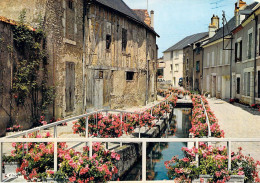 45 - Beaugency - "La Rivière Fleurie" - Beaugency