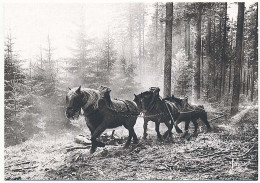 CPSM / CPM 10.5 X 15 Photographe JOËL COUCHOURON Les Vieux Métiers (Les Vosges) Les Trois Chevaux Débardage - Sonstige & Ohne Zuordnung