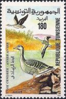 Tunisie YV 1240 MNH 1994 Anser Anser - Canards