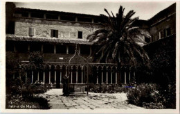 Palma De Mallorca - Claustro De San Francisco - Palma De Mallorca