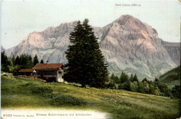 Adelboden - Grosse Schirmtanne - Adelboden