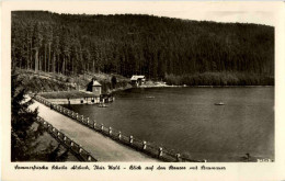 Scheibe Alsbach - Stausee - Neuhaus