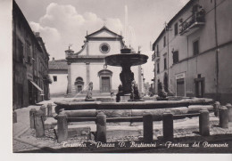 TUSCANIA VITERBO PIAZZA D. BASTIANINI  FONTANA DEL BRAMANTE  NO VG - Viterbo