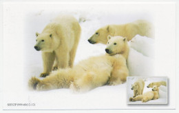 Postal Stationery China 1999 Polar Bear - Arctic Expeditions