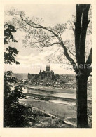 43372775 Meissen Elbe Sachsen Panorama Blick Ueber Die Elbe Zur Albrechtsburg Un - Meissen