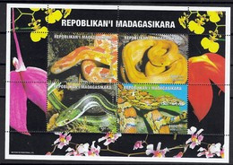 MADAGASCAR Anº 16 - Snakes