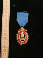 Médaille De La Société De Secours Mutuels De La Roche Vineuse - Professionals/Firms
