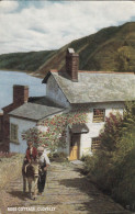 N84. Postcard. Rose Cottage, Clovelly, Devon. - Clovelly