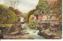 N03. Vintage Postcard. Bridge And Jesmond Dene. Newcastle Upon Tyne. G W Blow - Newcastle-upon-Tyne