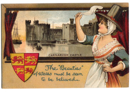 N81. Antique Postcard. The Beauties Of Wales Must Be Seen To Be Believed! - Caernarvonshire