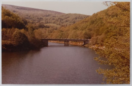 LAOUZAS (81 Tarn) - Pont - Carte Postale Photo - Sonstige & Ohne Zuordnung