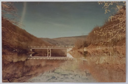 LAOUZAS (81 Tarn) - Pont Avec Reflet Dans L'eau - Carte Postale Photo - Sonstige & Ohne Zuordnung