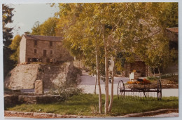 LAOUZAS (81 Tarn) - Musée Rieu Montagné Au Bout Du Chemin / Arbre - Carte Postale Photo - Sonstige & Ohne Zuordnung