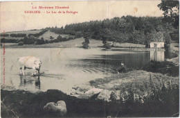 Moulin21 SAULIEU Lac Bologne Moulin Vache Boeuf - Saulieu