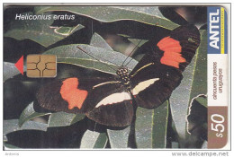 URUGUAY - Butterfly, Heliconius Eratus(292a), 08/03, Used - Schmetterlinge