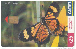 URUGUAY - Butterfly, Actinote Pyrrha(291a), 08/03, Used - Schmetterlinge