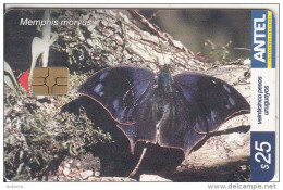 URUGUAY - Butterfly, Memphis Morvus(290a), 08/03, Used - Schmetterlinge