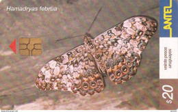 URUGUAY - Butterfly, Hamadryas Februa(248a), 09/02, Used - Schmetterlinge