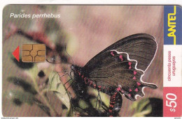 URUGUAY - Butterfly, Parides Perrhebus(245a), 08/02, Used - Papillons