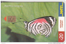 URUGUAY - Butterfly, Diaethria Candrena(243a), 08/02, Used - Schmetterlinge
