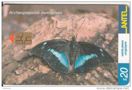URUGUAY - Butterfly, Archeoprepona Demophon(242a), 08/02, Used - Schmetterlinge