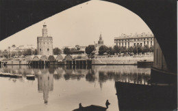 (CPA327) SEVILLA. TORRE DEL ORO ... UNUSED - Sevilla