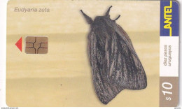 URUGUAY - Butterfly, Eudyaria Zeta(196a), 09/01, Used - Schmetterlinge