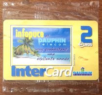 SAINT-MARTIN DAUPHIN TELECOM INTERCARD INFOPUCE NSB TELEFONKARTE SCHEDA TARJETA PHONECARD PREPAID PREPAYÉE CALLING - Antilles (French)