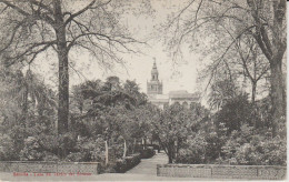 (SEV213) SEVILLA. VISTA DEL JARDIN DEL ALCAZAR - Sevilla