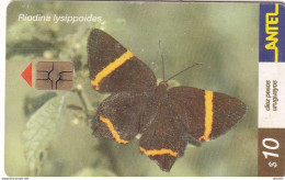 URUGUAY - Butterfly, Riodina Lysipoides(186a), 08/01, Used - Schmetterlinge