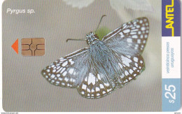URUGUAY - Butterfly, Pyrgus Sp.(184a), 07/01, Used - Schmetterlinge