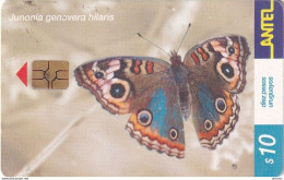 URUGUAY - Butterfly, Junonia Genovera Hilaris(182a), 07/01, Used - Schmetterlinge