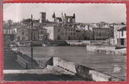 Carte Postale 17. Saint-Marti-en-Ré   Très Beau Plan - Saint-Martin-de-Ré