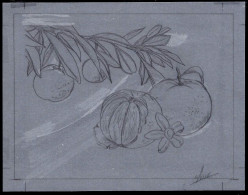 NEW CALEDONIA(2008) Mandarin Orange. Preliminary Artwork, Pencil On Tracing Paper Measuring 18 X 14 Cm, Signed By The Ar - Ongetande, Proeven & Plaatfouten