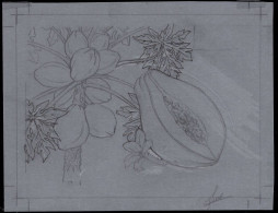 NEW CALEDONIA(2008) Papaya. Preliminary Artwork, Pencil On Tracing Paper Measuring 18 X 14 Cm, Signed By The Artist LISI - Ongetande, Proeven & Plaatfouten