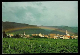 RIQUEWIHR  Vue Générale édition édira - Riquewihr